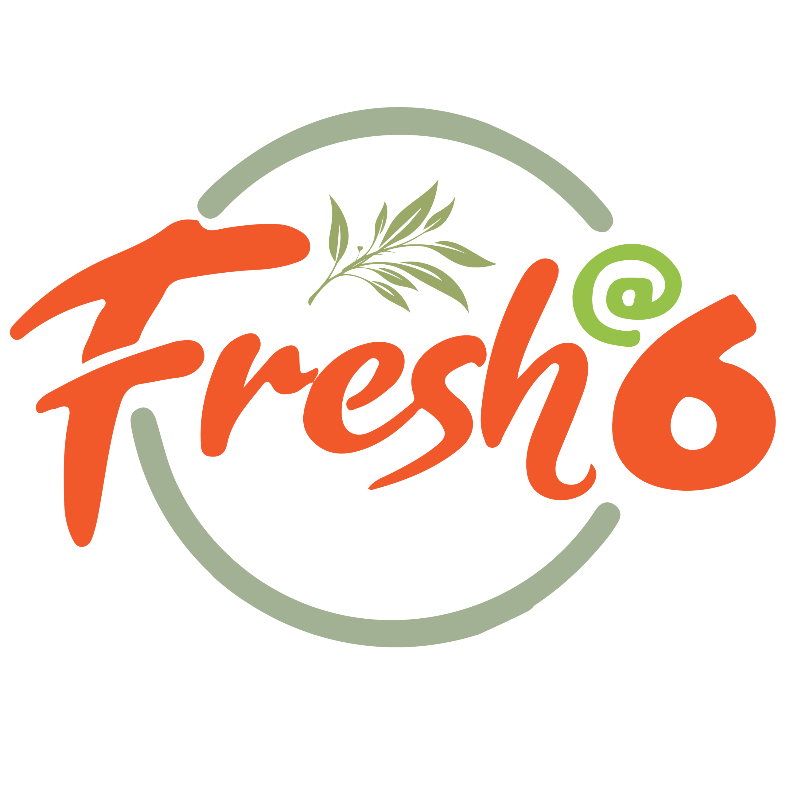 Fresh @ 6